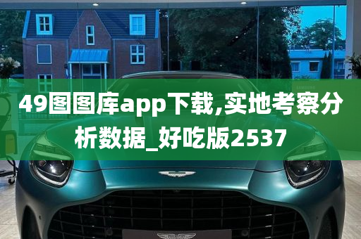 49图图库app下载,实地考察分析数据_好吃版2537