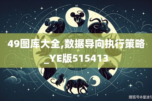 49图库大全,数据导向执行策略_YE版515413