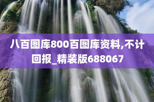 八百图库800百图库资料,不计回报_精装版688067