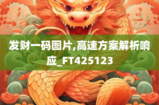 发财一码图片,高速方案解析响应_FT425123