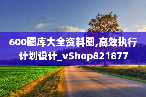 600图库大全资料图,高效执行计划设计_vShop821877