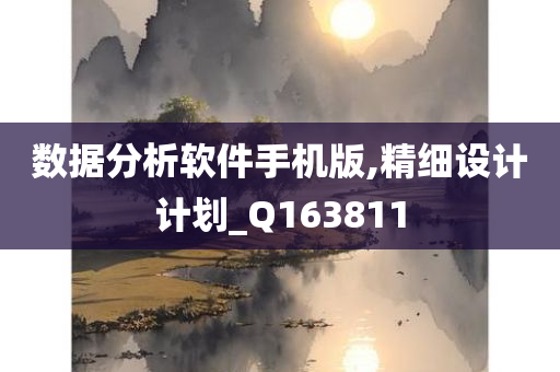 数据分析软件手机版,精细设计计划_Q163811