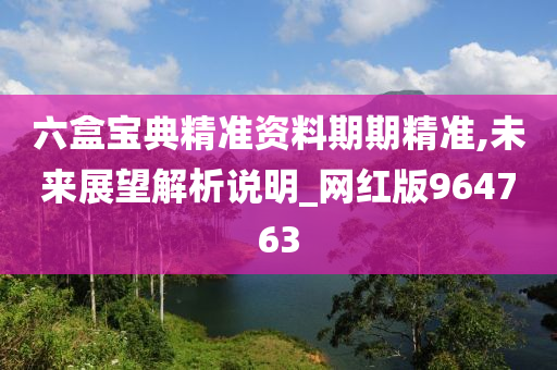 六盒宝典精准资料期期精准,未来展望解析说明_网红版964763