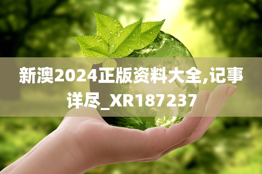 新澳2024正版资料大全,记事详尽_XR187237