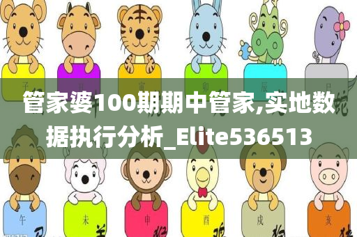 管家婆100期期中管家,实地数据执行分析_Elite536513