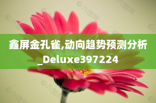 鑫屏金孔雀,动向趋势预测分析_Deluxe397224