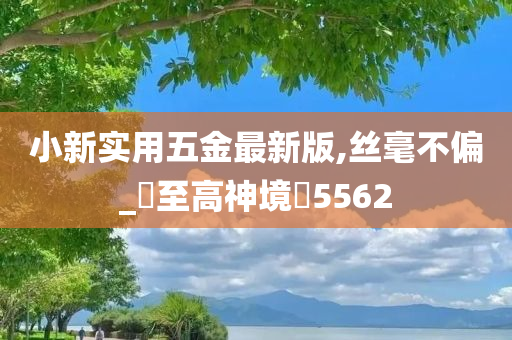 小新实用五金最新版,丝毫不偏_‌至高神境‌5562