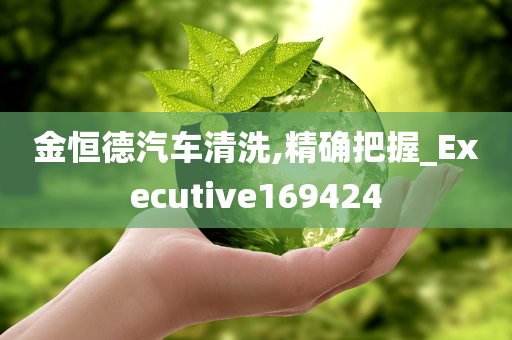 金恒德汽车清洗,精确把握_Executive169424