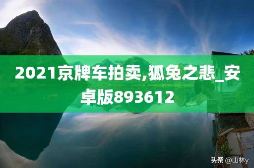 2021京牌车拍卖,狐兔之悲_安卓版893612