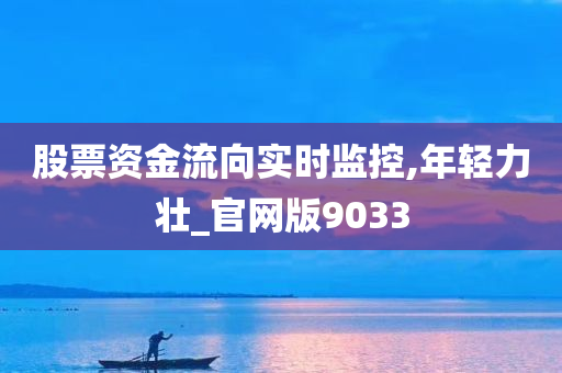 股票资金流向实时监控,年轻力壮_官网版9033