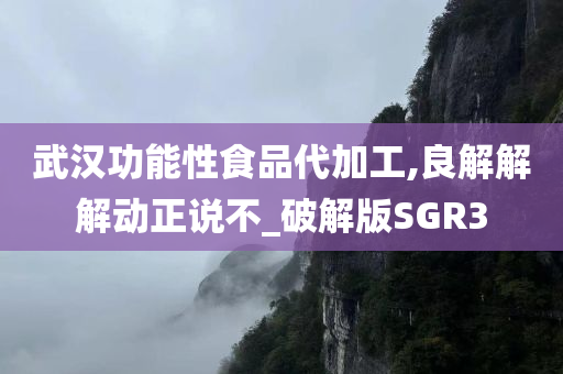 武汉功能性食品代加工,良解解解动正说不_破解版SGR3