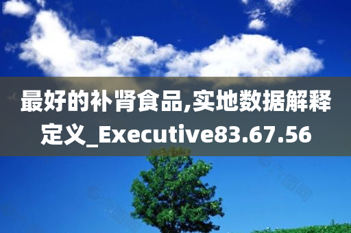 最好的补肾食品,实地数据解释定义_Executive83.67.56