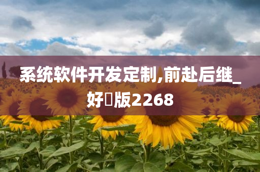 系统软件开发定制,前赴后继_好翫版2268