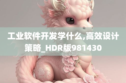 工业软件开发学什么,高效设计策略_HDR版981430