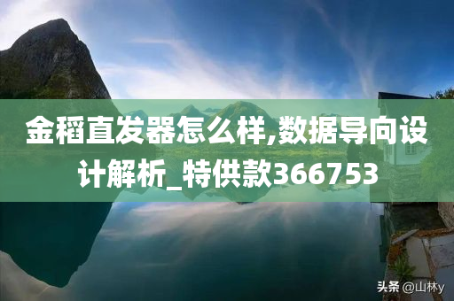 金稻直发器怎么样,数据导向设计解析_特供款366753