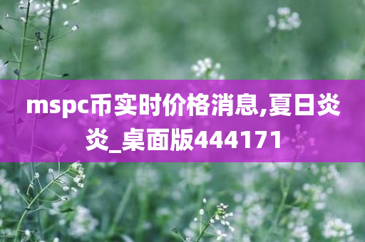 mspc币实时价格消息,夏日炎炎_桌面版444171