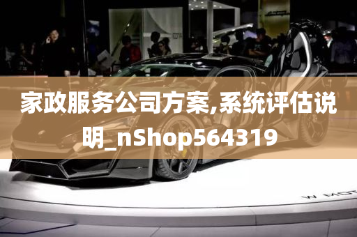 家政服务公司方案,系统评估说明_nShop564319