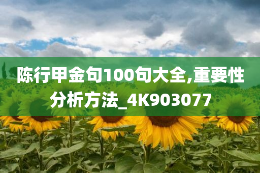 陈行甲金句100句大全,重要性分析方法_4K903077