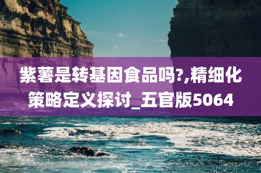 紫薯是转基因食品吗?,精细化策略定义探讨_五官版5064