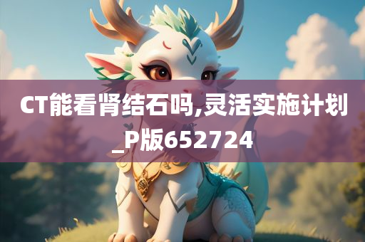 CT能看肾结石吗,灵活实施计划_P版652724