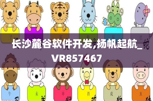 长沙麓谷软件开发,扬帆起航_VR857467