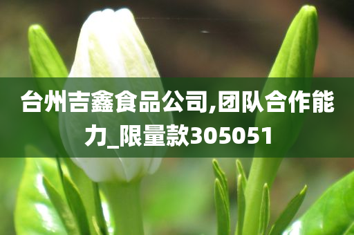 台州吉鑫食品公司,团队合作能力_限量款305051