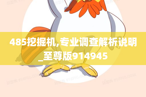 485挖掘机,专业调查解析说明_至尊版914945