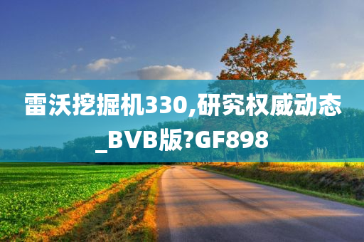 雷沃挖掘机330,研究权威动态_BVB版?GF898