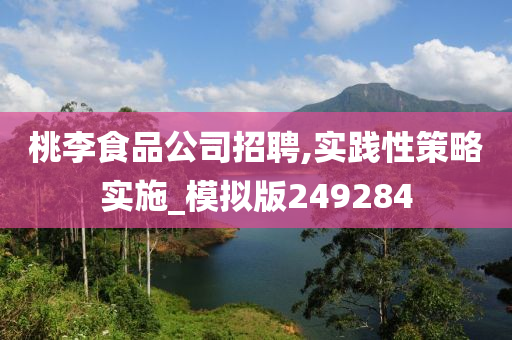 桃李食品公司招聘,实践性策略实施_模拟版249284