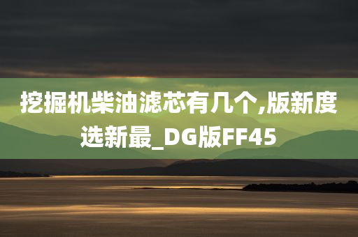 挖掘机柴油滤芯有几个,版新度选新最_DG版FF45