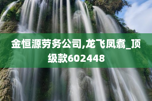 金恒源劳务公司,龙飞凤翥_顶级款602448