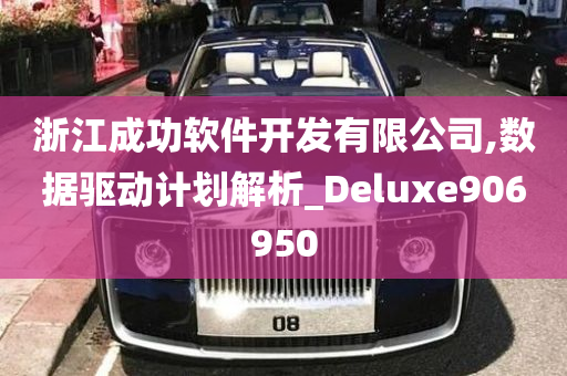 浙江成功软件开发有限公司,数据驱动计划解析_Deluxe906950