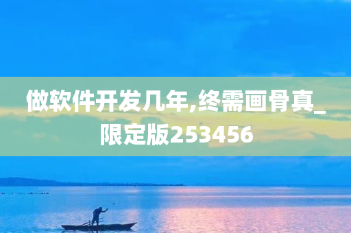 做软件开发几年,终需画骨真_限定版253456