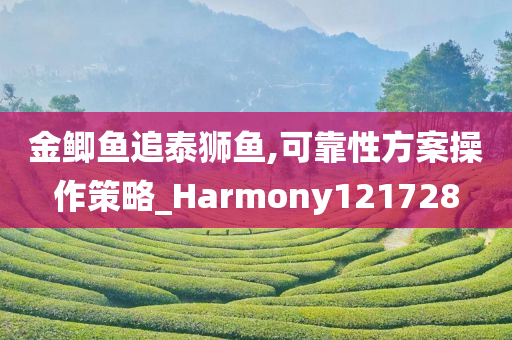 金鲫鱼追泰狮鱼,可靠性方案操作策略_Harmony121728