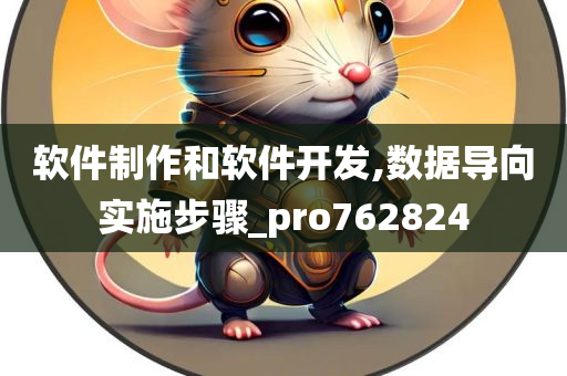 软件制作和软件开发,数据导向实施步骤_pro762824