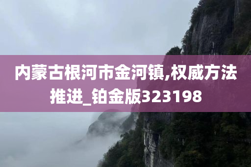 内蒙古根河市金河镇,权威方法推进_铂金版323198