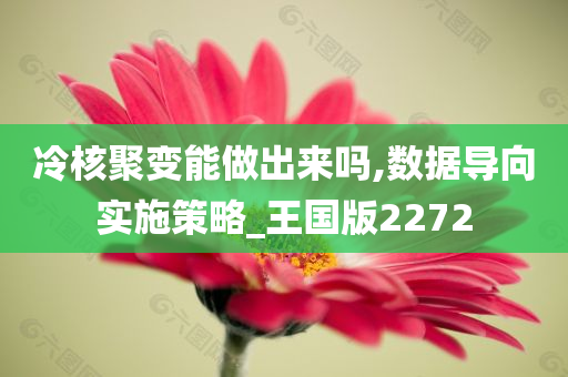 冷核聚变能做出来吗,数据导向实施策略_王国版2272