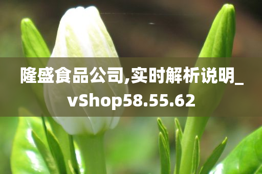 隆盛食品公司,实时解析说明_vShop58.55.62