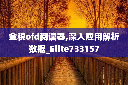 金税ofd阅读器,深入应用解析数据_Elite733157