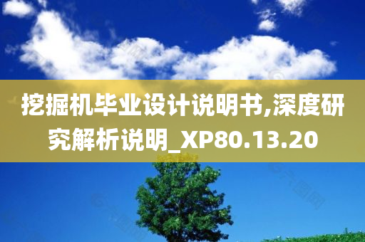 挖掘机毕业设计说明书,深度研究解析说明_XP80.13.20