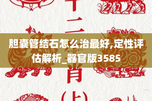 胆囊管结石怎么治最好,定性评估解析_器官版3585