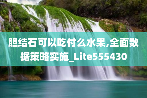 胆结石可以吃付么水果,全面数据策略实施_Lite555430