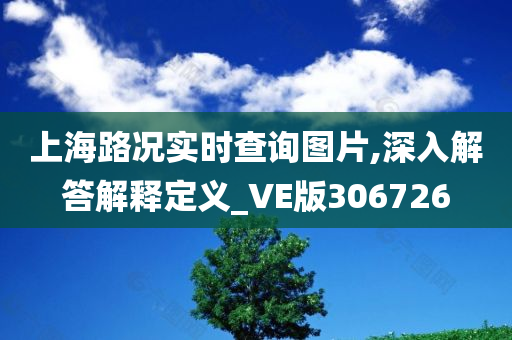 上海路况实时查询图片,深入解答解释定义_VE版306726