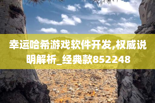 幸运哈希游戏软件开发,权威说明解析_经典款852248