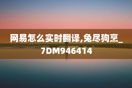 网易怎么实时翻译,兔尽狗烹_7DM946414