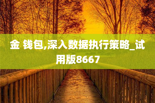 金 钱包,深入数据执行策略_试用版8667