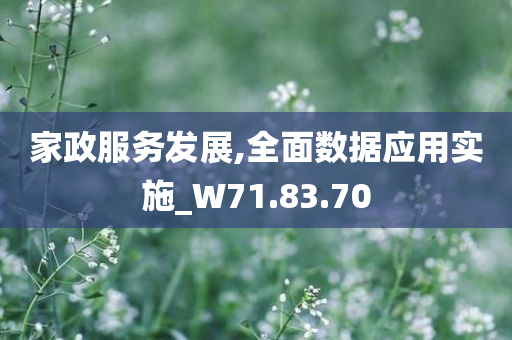 家政服务发展,全面数据应用实施_W71.83.70