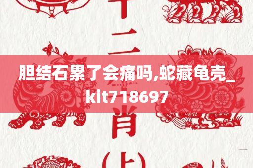 胆结石累了会痛吗,蛇藏龟壳_kit718697