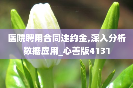 医院聘用合同违约金,深入分析数据应用_心善版4131