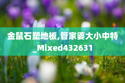 金鼠石塑地板,管家婆大小中特_Mixed432631